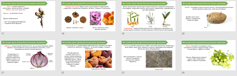 090279o1-5cc9-940x302.png
