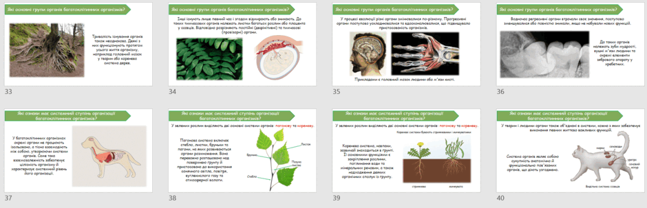 090279o3-fa08-940x303.png