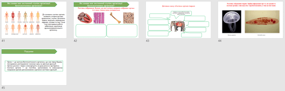 090279o4-517f-940x300.png