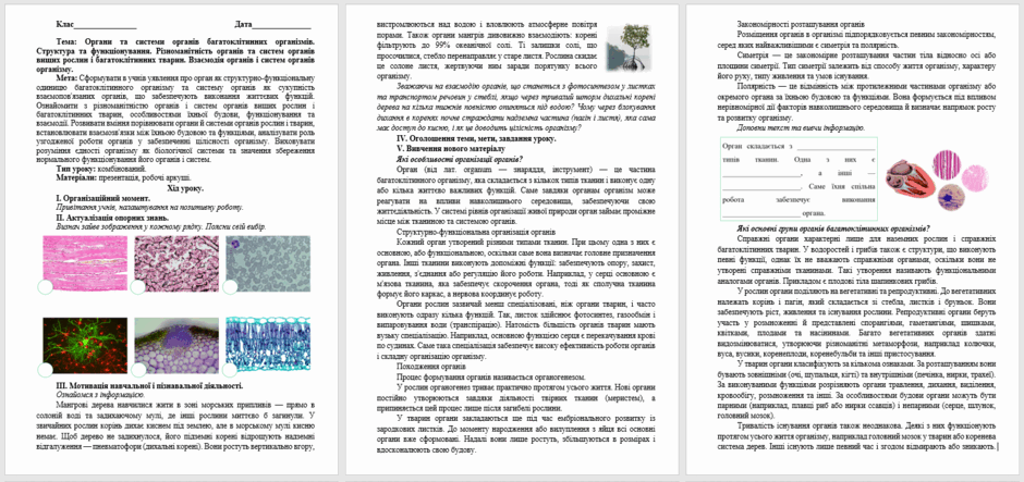 090279o5-1f09-940x443.png