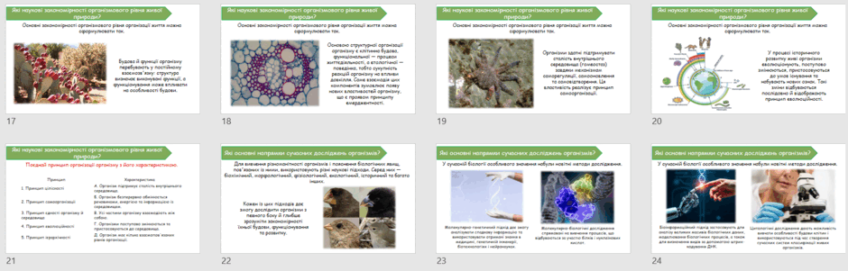 090279p7-2933-940x301.png