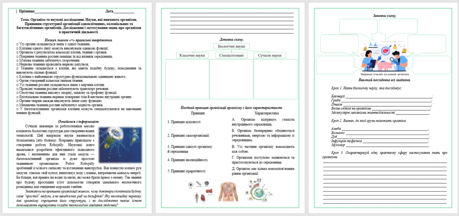 090279ph-066d-940x443.png