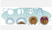 09027ayb-6d2e-176x101.png