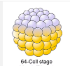 09027b6n-9ba4-100x94.png