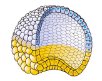 09027b74-0729-102x81.png