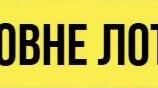 Українська мова 6 клас. Мовне лото з теми "Іменник"