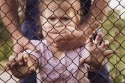Росіяни викрали 10-річну дівчинку з Костянтинівки. Як відреагував омбудсман?