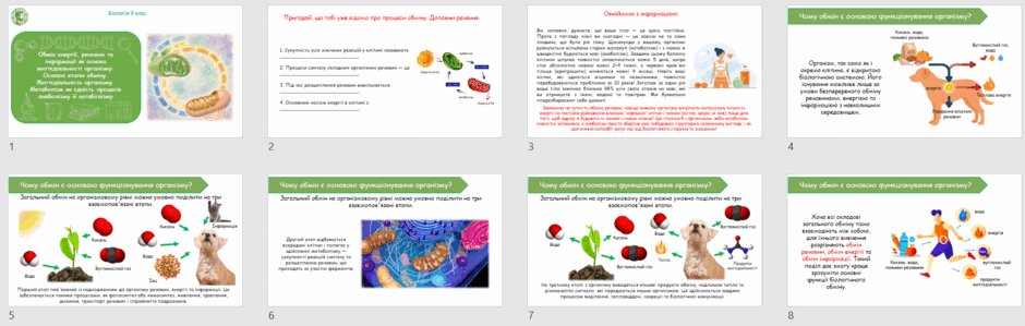 09027ca1-a2c6-940x299.png