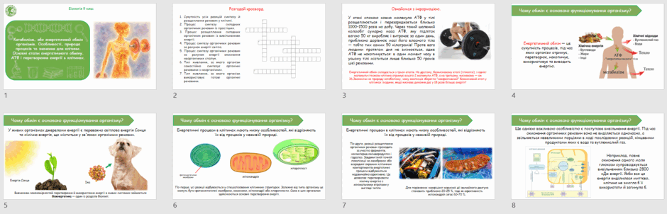 09027cap-204c-940x302.png