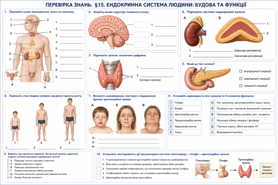 09027cet-492e-940x627.png