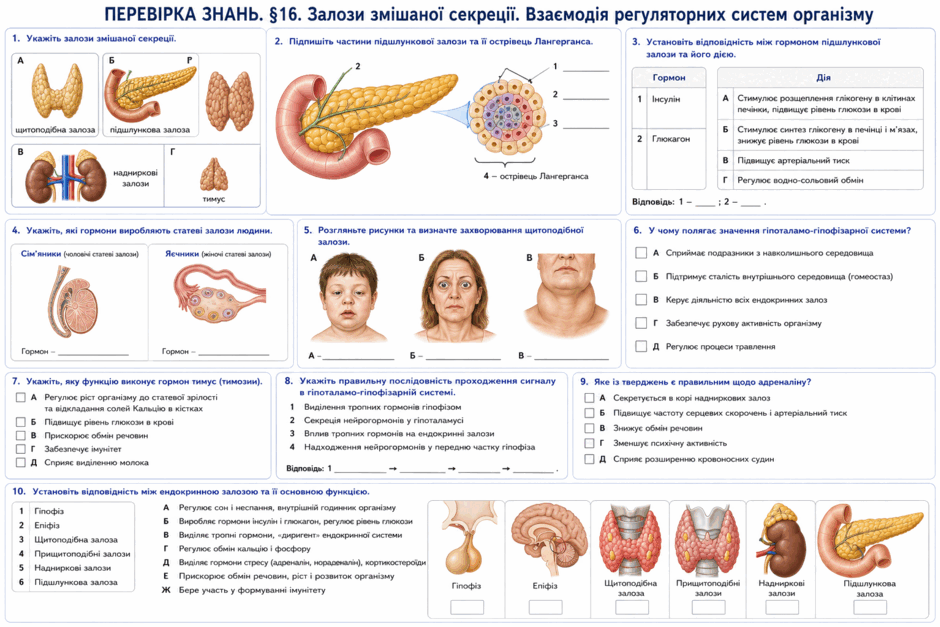 09027dil-be6c-940x627.png