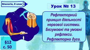 8 клас НУШ. Презентація до уроку з теми "Рефлекторний принцип діяльності нервової системи. Безумовні та умовні рефлекси. Рефлекторна дуга."