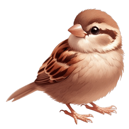 09027f5k-6cac-500x500.png