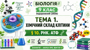 РНК. АТФ. Презентація, інфографіка, робочий аркуш