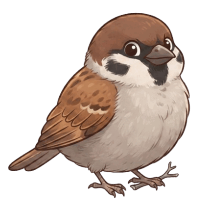09027f9q-64e1-429x430.png