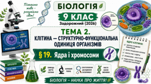 Ядра і хромосоми. Презентація, інфографіка, робочий аркуш