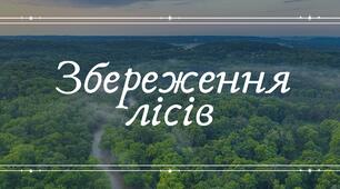 Презентація на тему:" Збереження лісів".