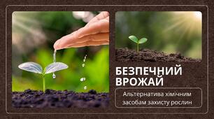 Презентація на тему:" Безпечний врожай. Альтернатива хімічним засобам захисту рослин".