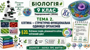 Клітинна теорія, різноманіття клітин, клітинний цикл. Презентація, інфографіка, робочий аркуш