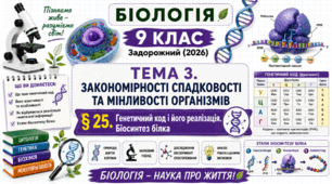 Генетичний код і його реалізація. Біосинтез білка. Презентація, інфографіка, робочий аркуш