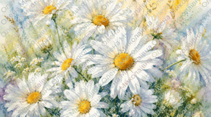 🌼🦋🌼 Розмальовка та малюнок "Ромашки" 💛🌼🌼🐝🌼