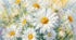 🌼🦋🌼 Розмальовка та малюнок "Ромашки" 💛🌼🌼🐝🌼
