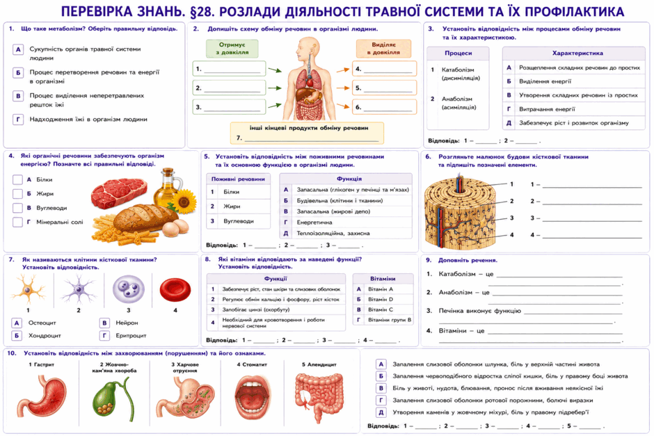 09027hn6-cf22-940x627.png