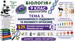 Взаємодія неалельних генів. Множинна дія гена. Презентація, інфографіка, робочий аркуш