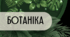 Labbook - Ботаніка - навчально-методичний посібник