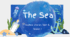 Sea animals / beehive starter unit 6, lesson 1
