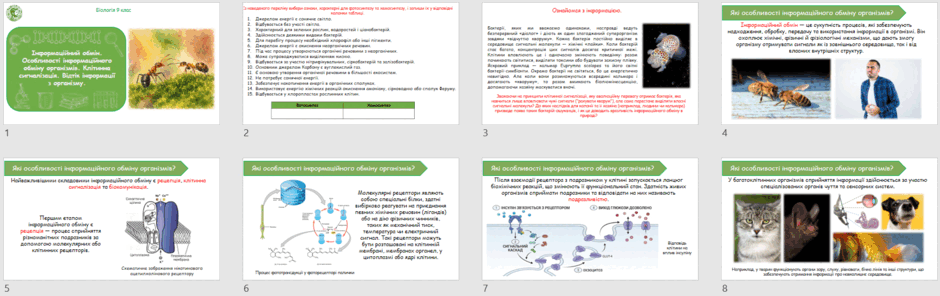 09027kvl-feda-940x296.png