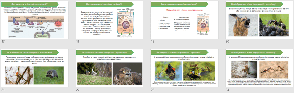 09027kvn-eaa5-940x299.png