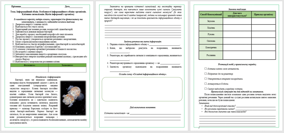 09027kvu-5302-940x443.png