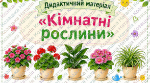Дидактичний матеріал «Кімнатні рослини»