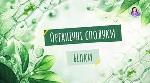 Білки