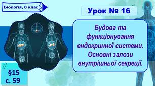 8 клас НУШ. Презентація до уроку з теми "Будова та функціонування ендокринної системи. Основні залози внутрішньої секреції."