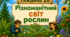 Тематичний тиждень "Різноманітний світ рослин" 3 клас НУШ Стіна слів
