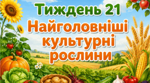Тематичний тиждень "Найголовніші культурні рослини" 3 клас НУШ Стіна слів