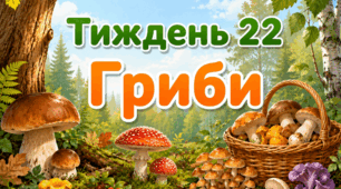 Тематичний тиждень "Гриби" 3 клас НУШ Стіна слів
