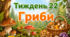 Тематичний тиждень "Гриби" 3 клас НУШ Стіна слів