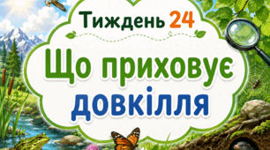 Тематичний тиждень "Що приховує довкілля" 3 клас НУШ Стіна слів