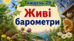 Тематичний тиждень "Живі барометри" 3 клас НУШ Стіна слів