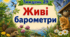 Тематичний тиждень "Живі барометри" 3 клас НУШ Стіна слів