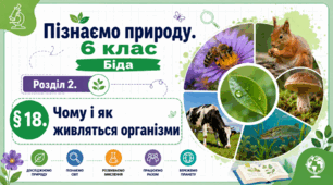 Чому і як живляться організми. Презентація, інфографіка, робочий аркуш