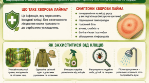 Постер «Обережно! Кліщі (Хвороба Лайма)»