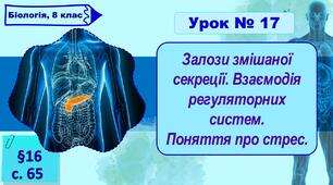 8 клас НУШ. Презентація до уроку з теми "Залози змішаної секреції. Взаємодія регуляторних систем. Поняття про стрес."