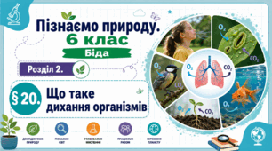 Що таке дихання організмів. Презентація, інфографіка, робочий аркуш