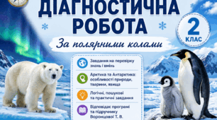 Діагностична робота  з ЯДС За полярними колами