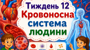Тематичний тиждень "Кровоносна система" 4 клас НУШ Стіна слів
