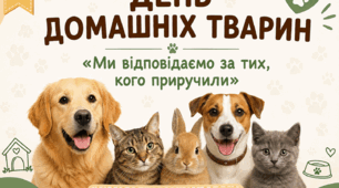 «Ми відповідаємо за тих, кого приручили»